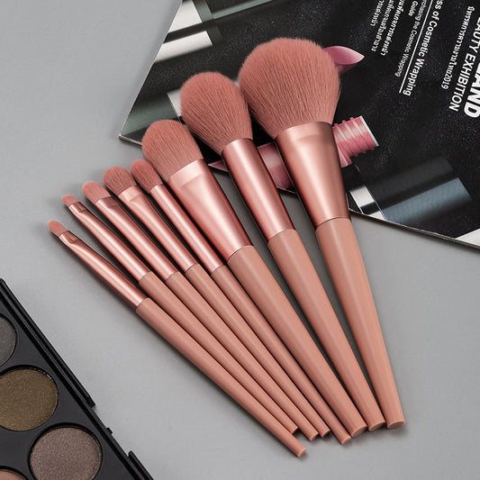 Premium Wooden Handle Brush Set